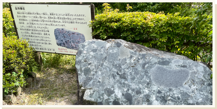 金持神社の現地リポートその3