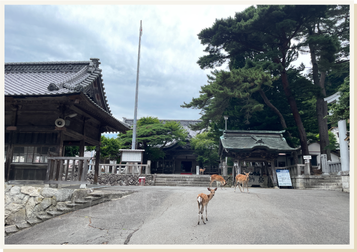 金椿神社と銭洗場その1