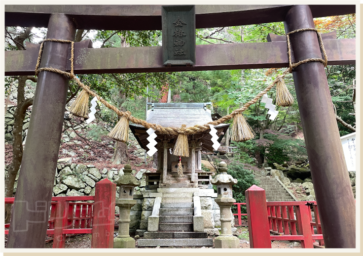 金椿神社と銭洗場その5