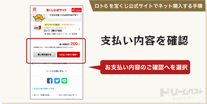 ロト6を宝くじ公式サイトでネット購入する手順その6