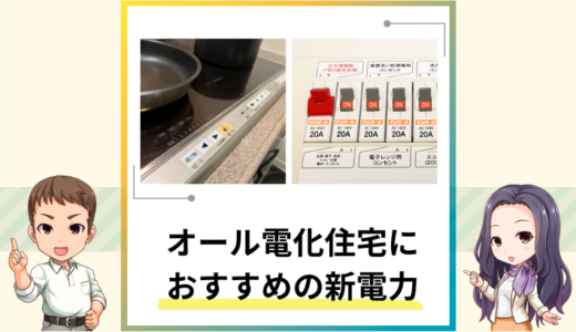 【2025年1月】オール電化住宅におすすめの新電力サービスは？