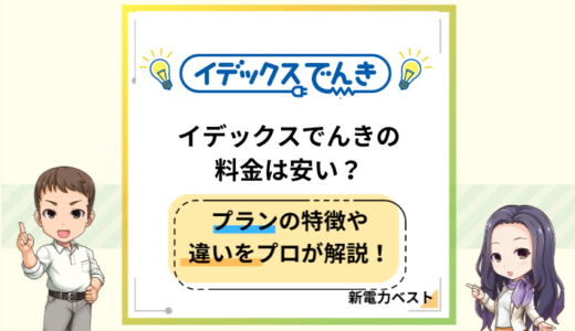 イデックスでんきの料金は安い？料金の特徴や九州電力との違いを解説