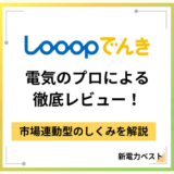 Looopでんきを電気のプロによる徹底レビュー！市場連動型のしくみを解説