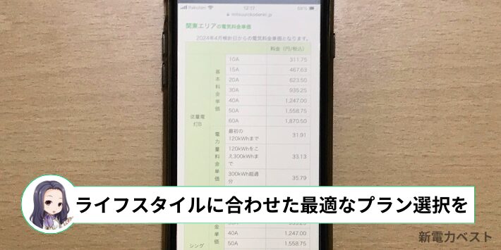 ライフスタイルに合わせて最適なプランを選ぶ必要がある