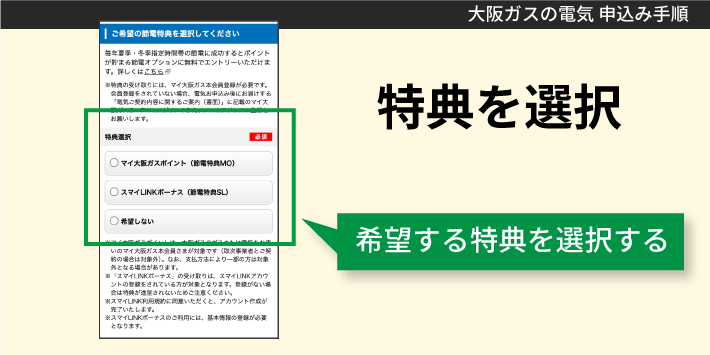 大阪ガスの電気申し込み方法「特典を選択」