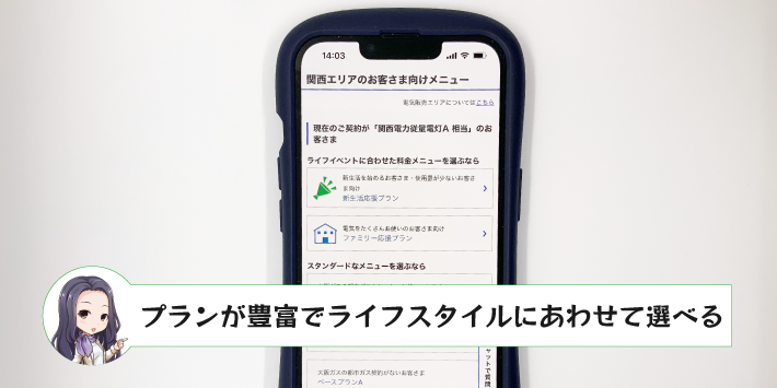 プランが豊富でライフスタイルにあわせて選べる