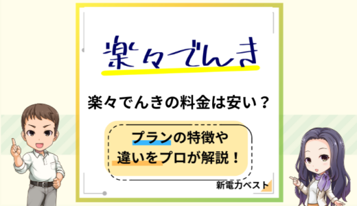 楽々でんきの料金は安い？料金プランの特徴を解説