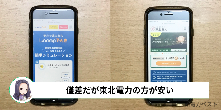 年間の電気代は東北電力の方がわずかに安い