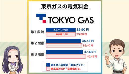 東京ガスの電気の料金は安い？プランの特徴や違いをプロが解説